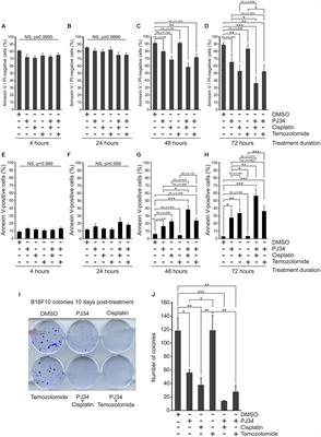 PARP Inhibitor PJ34 Protects Mitochondria and Induces DNA-Damage Mediated Apoptosis in Combination With Cisplatin or Temozolomide in B16F10 Melanoma Cells